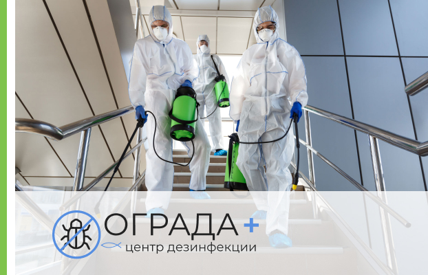 Дезинфекция